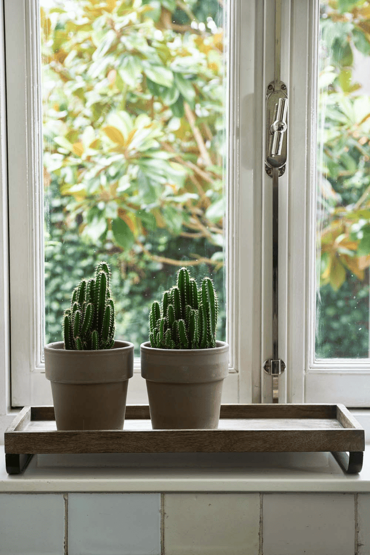 Broadway Tray 50x20