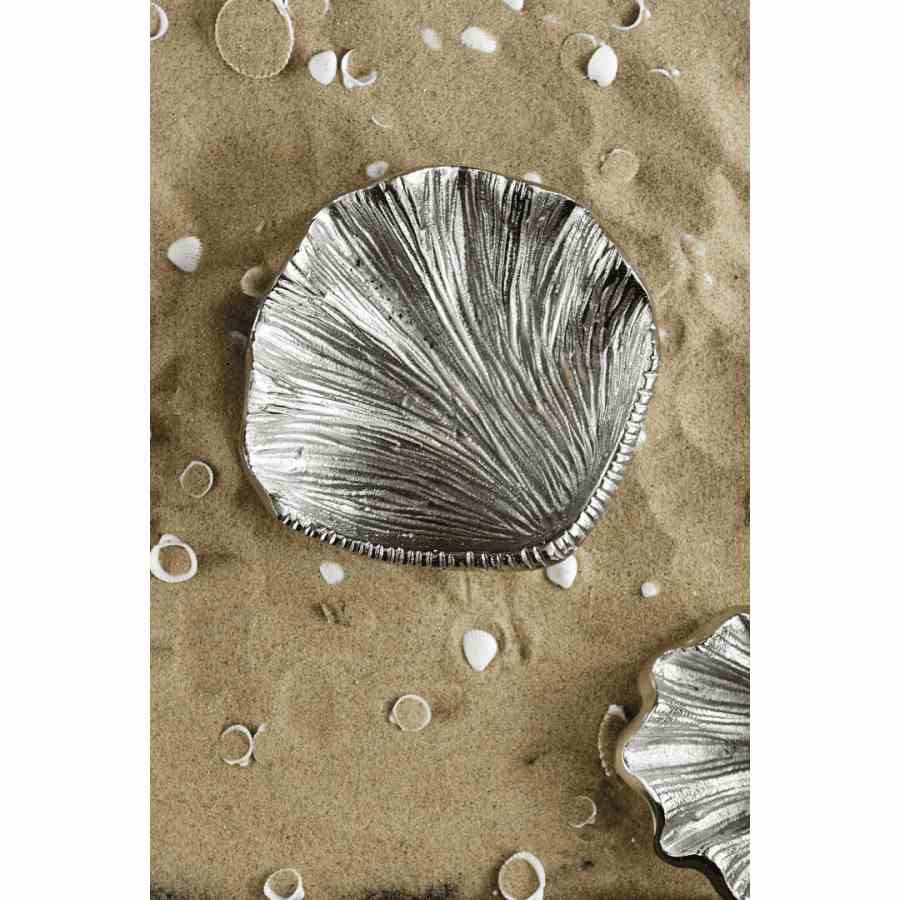 Sea Shell Treasure Decoration M