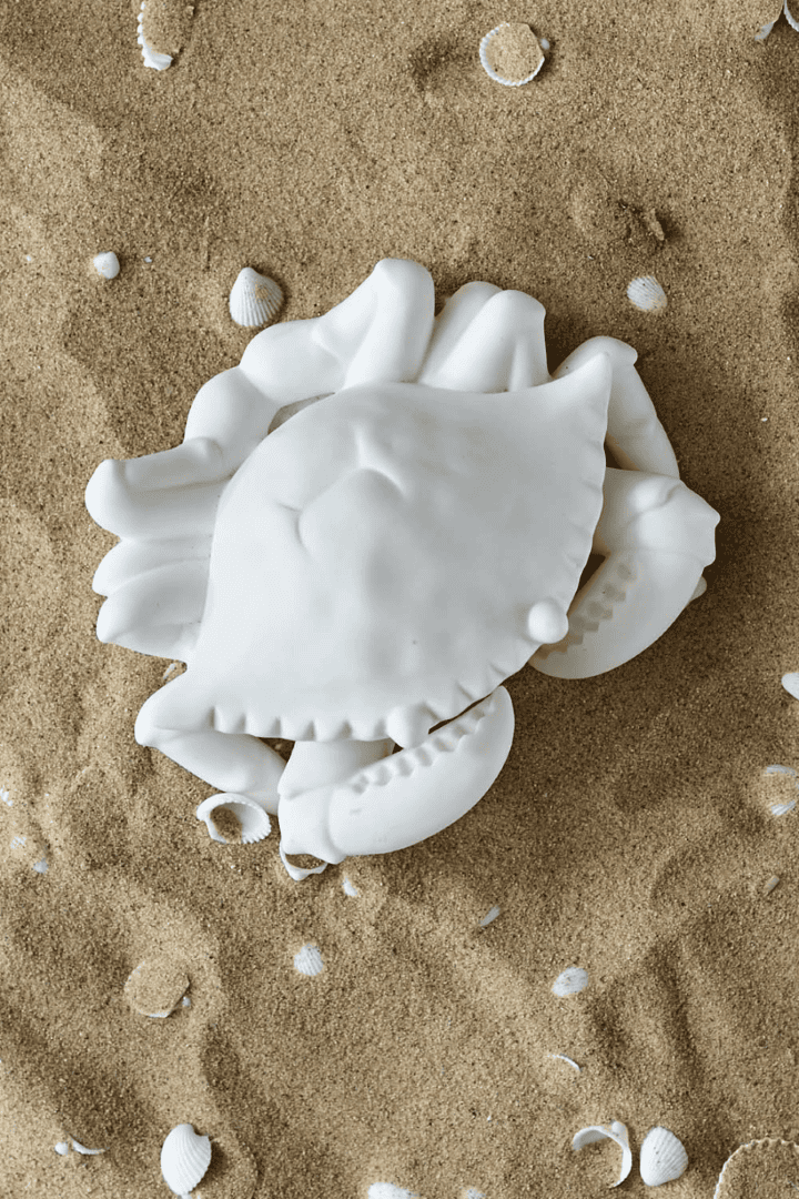 Happy Ocean Crab
