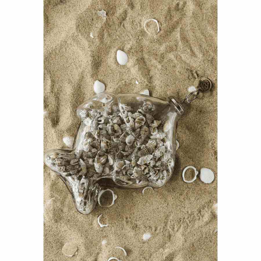 Happy Ocean Fish Decoration