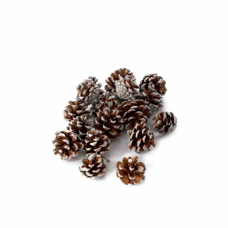 Aspen Pine Cones silver
