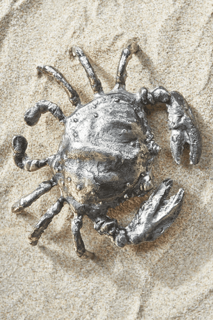 Crab Sea Treasure Decoration