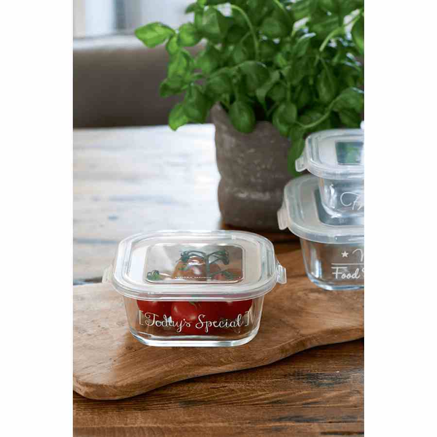 Today's Special Food Container M