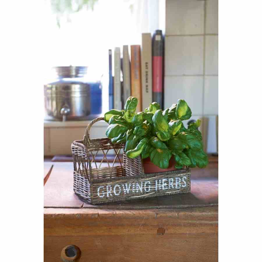 Rustic Rattan Kitchen Herb Garden