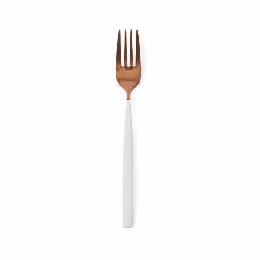 Can Carlos Fork copper
