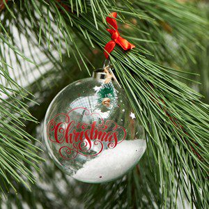 Best Christmas Ornament Dia 10