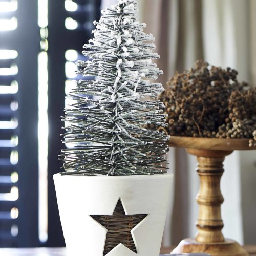 Winter Star Pot M