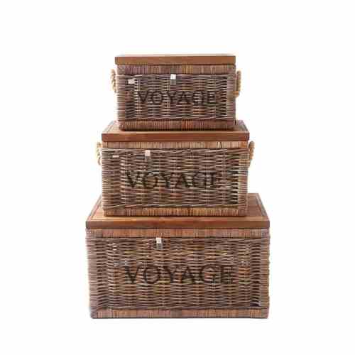 RR Plantation Trunk XL~