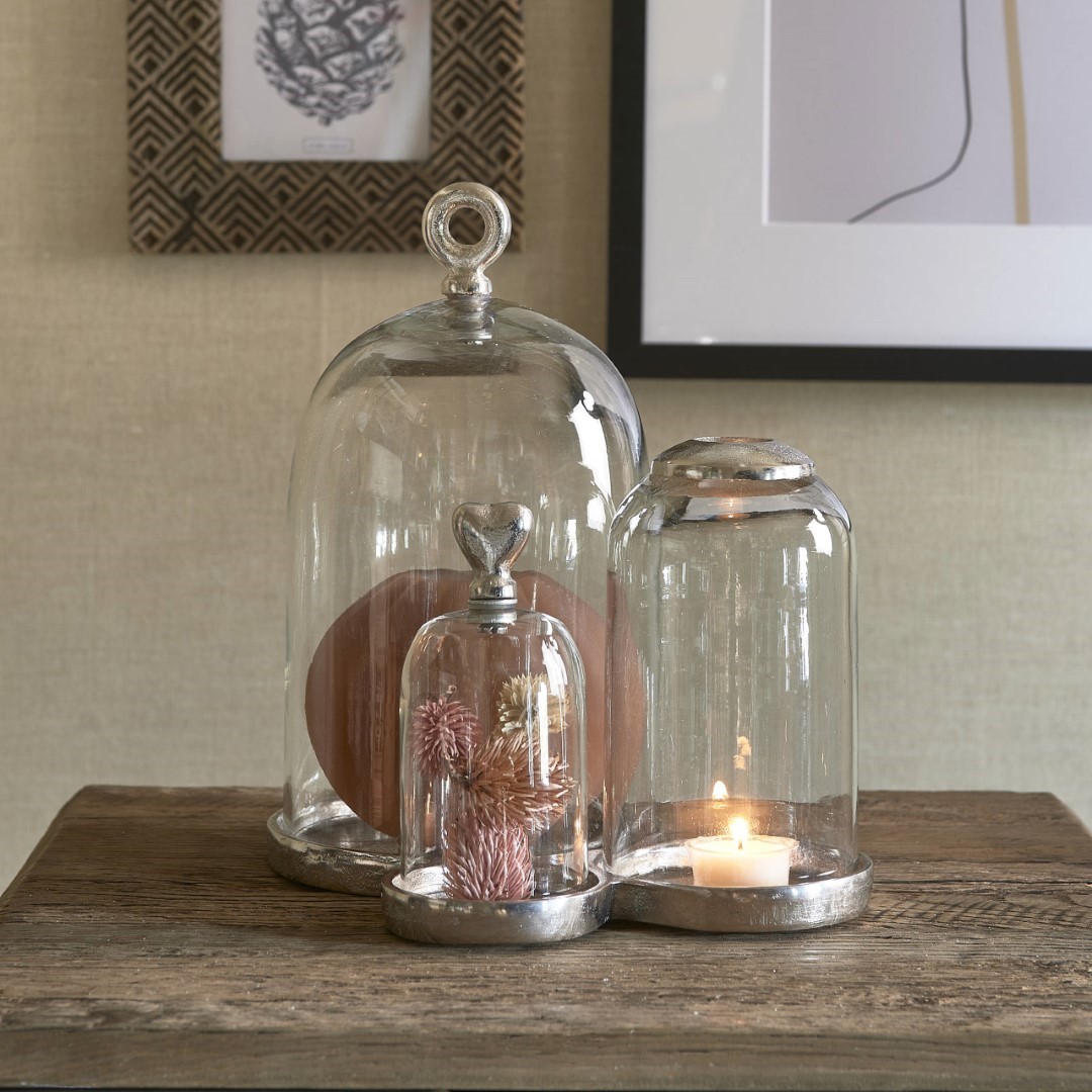 Lovely Treasure Cloches