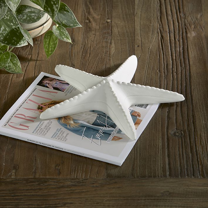 Étoile Starfish Decoration