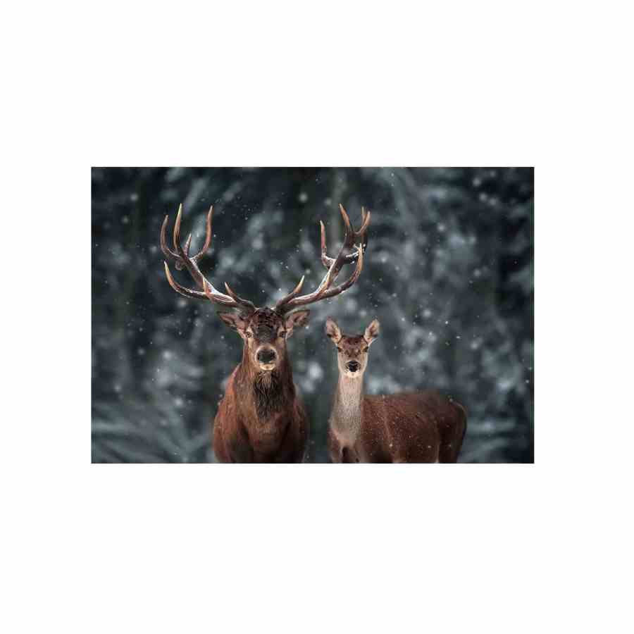 Bilde av Glass picture Rein deer