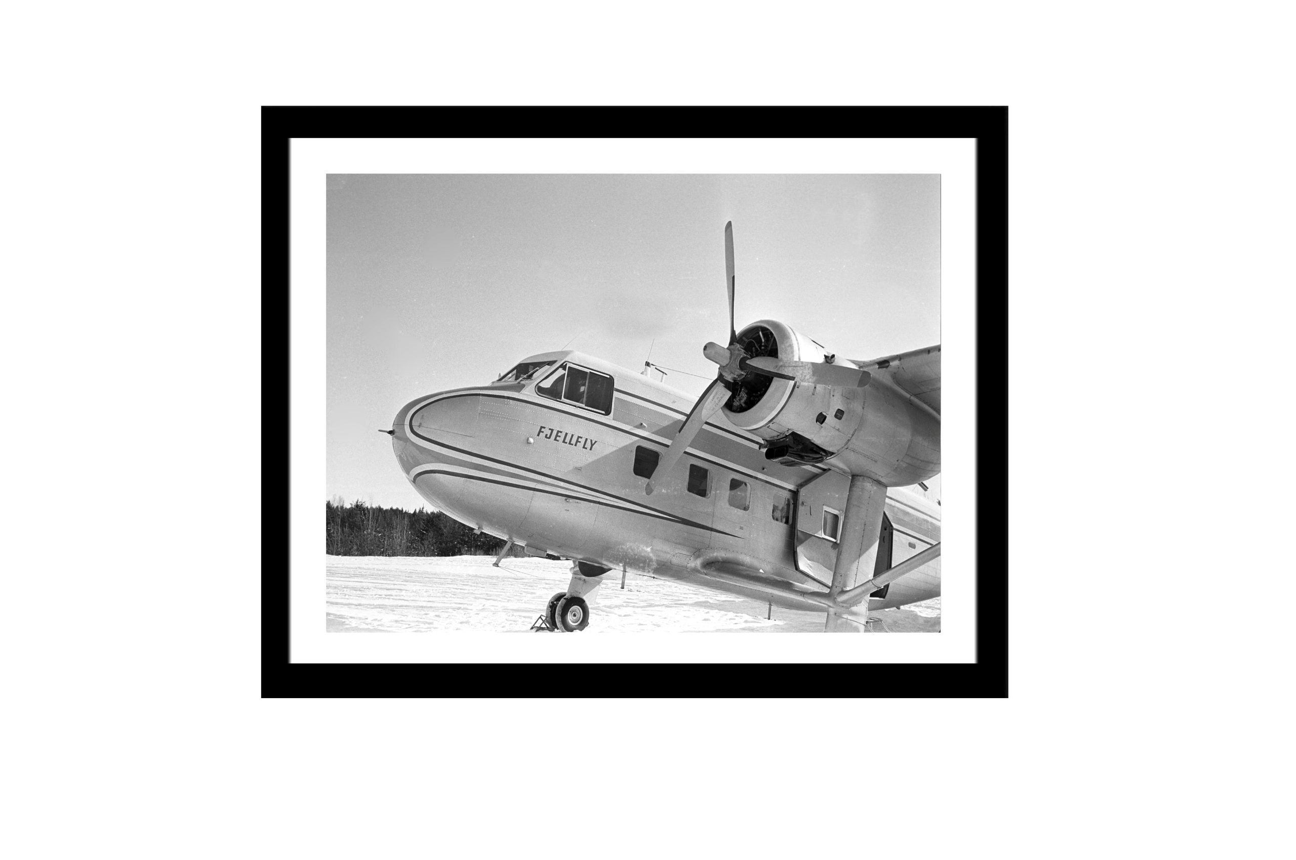 Bilde av Glass picture w/frame fjellfly