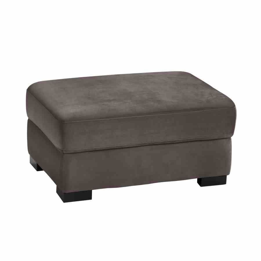 Bilde av Austin velour Brown