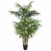 Bilde av Exclusive Palm tree 190cm Indoor