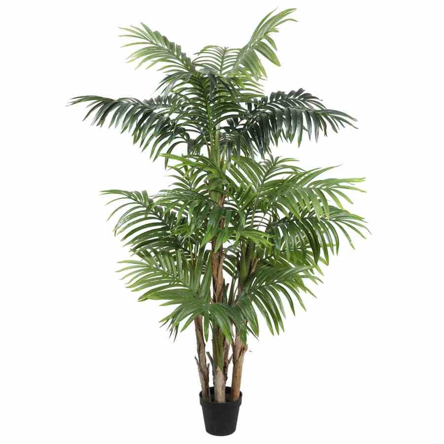 Bilde av Exclusive Palm tree 190cm Indoor