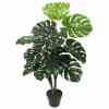 Bilde av Monsteras plants tree 100cm Indoor