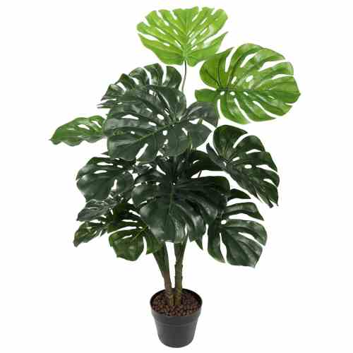 Bilde av Monsteras plants tree 100cm Indoor