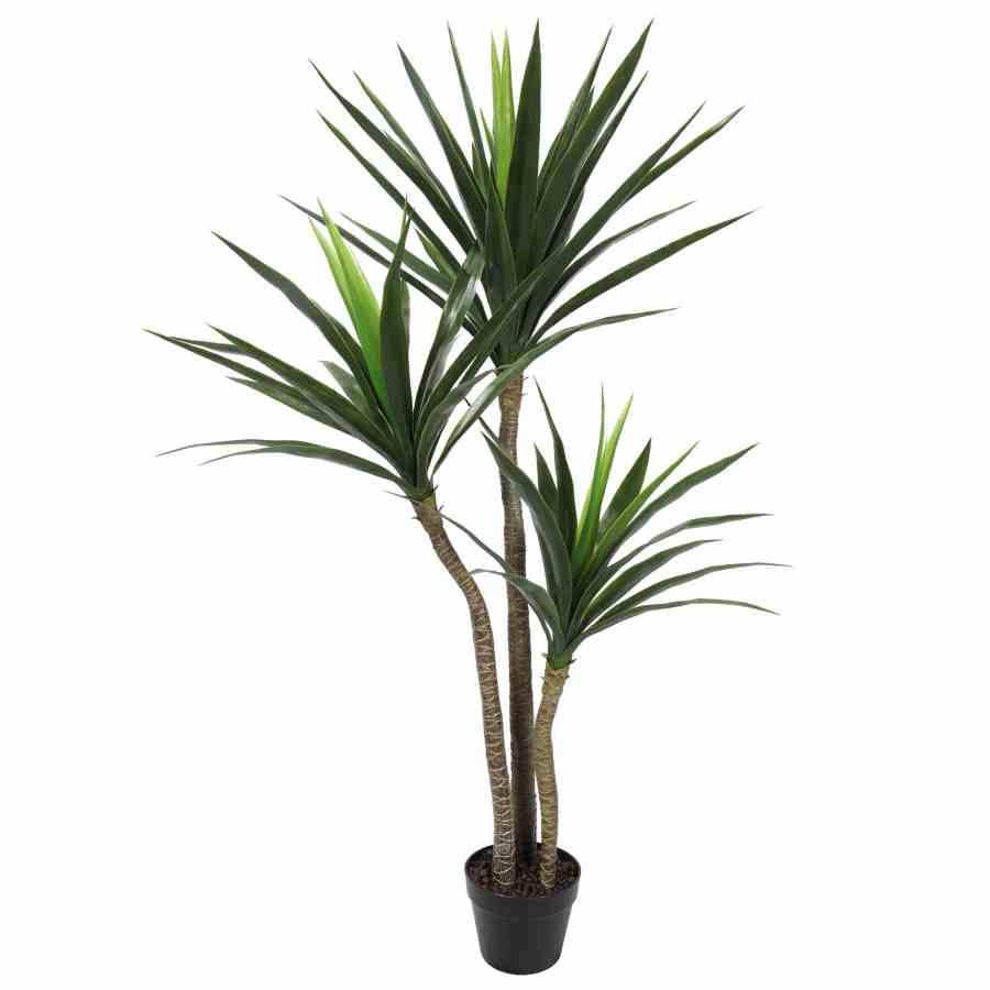 Bilde av Yucca-palm 130cm Indoor
