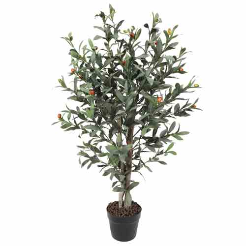 Bilde av Olive tree with wood trunk 90cm Indoor