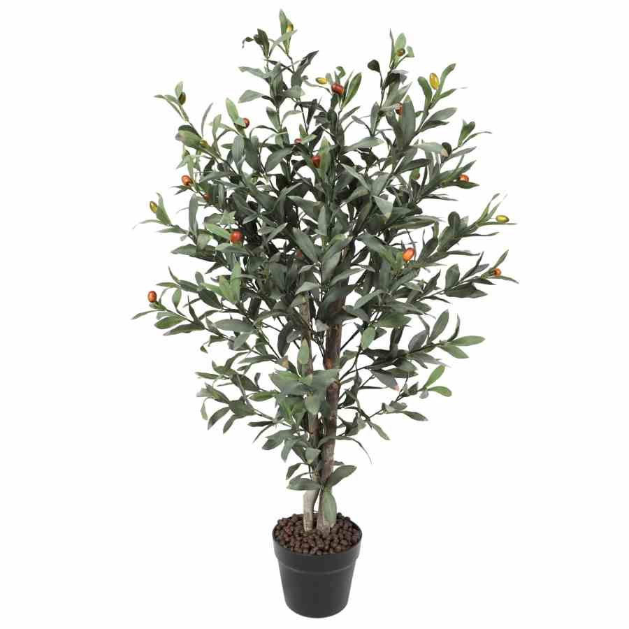 Bilde av Olive tree with wood trunk 90cm Indoor