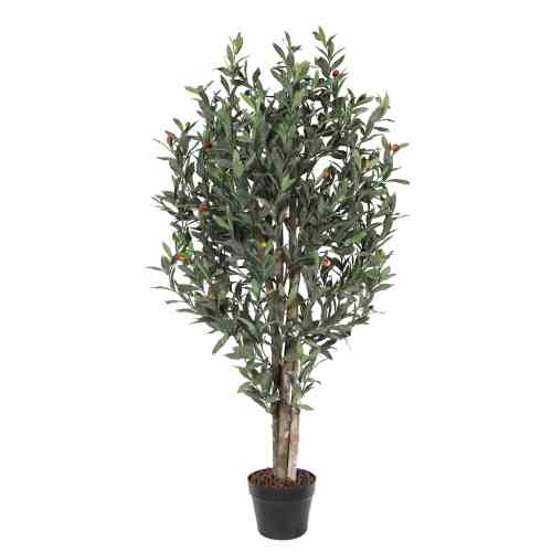 Bilde av Olive tree with wood trunk 120cm Indoor