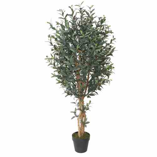 Bilde av Olive tree with wood trunk 150cm Indoor