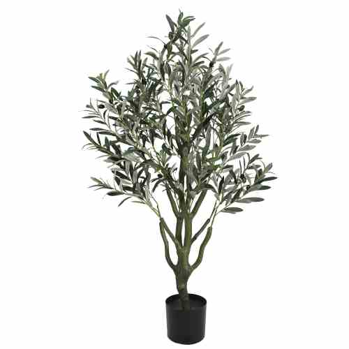Bilde av Olive tree with olives 125cm Indoor