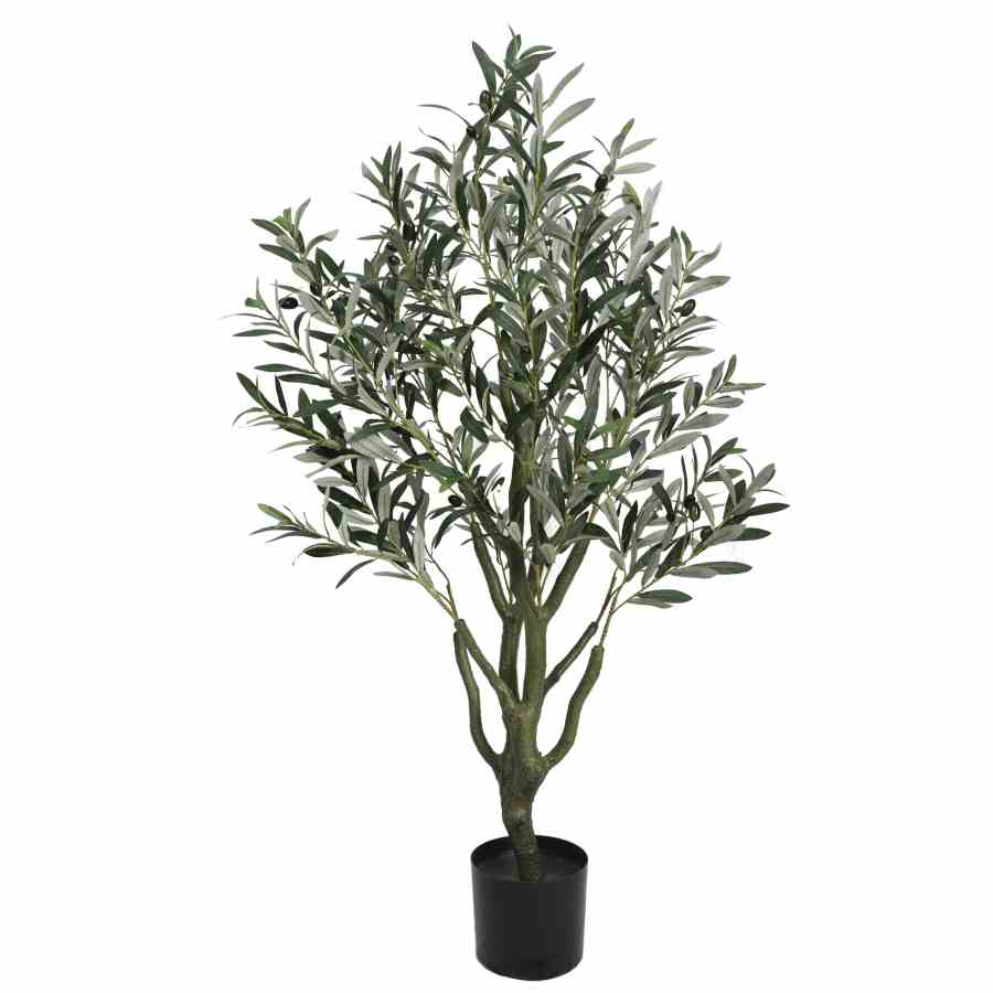 Bilde av Olive tree with olives 125cm Indoor