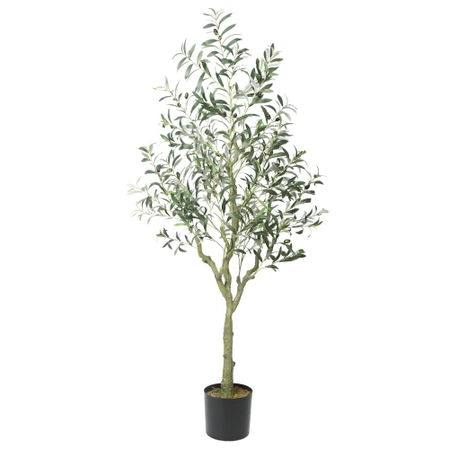 Bilde av Olive tree with olives 170cm Indoor