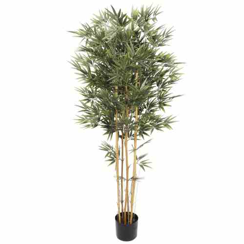 Bilde av Premium Bamboo real trunk 150cm Indoor / Outdoor