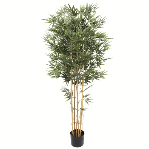 Bilde av Premium Bamboo real trunk 150cm Indoor / Outdoor