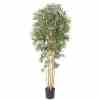 Bilde av Premium Bamboo real trunk 180cm Indoor / Outdoor