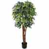 Bilde av Premium Ficus Tree 150cm Indoor / Outdoor