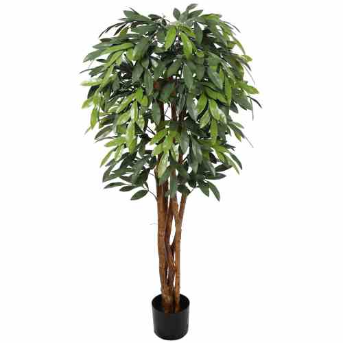Bilde av Premium Ficus Tree 150cm Indoor / Outdoor