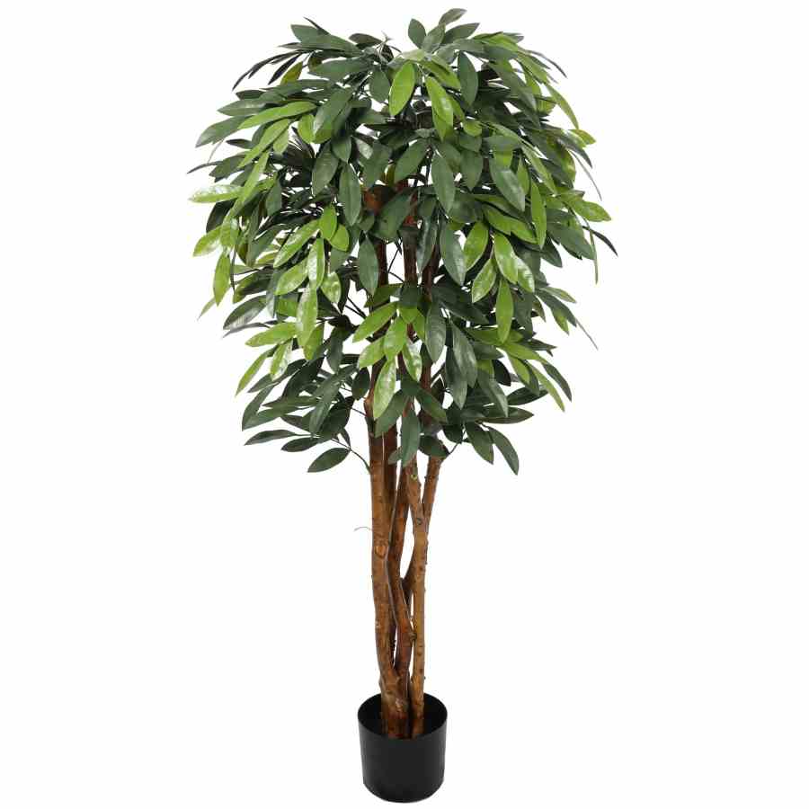 Bilde av Premium Ficus Tree 150cm Indoor / Outdoor