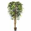 Bilde av Premium Ficus Tree 180cm Indoor / Outdoor