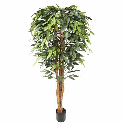 Bilde av Premium Ficus Tree 180cm Indoor / Outdoor