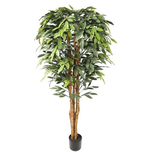 Bilde av Premium Ficus Tree 180cm Indoor / Outdoor