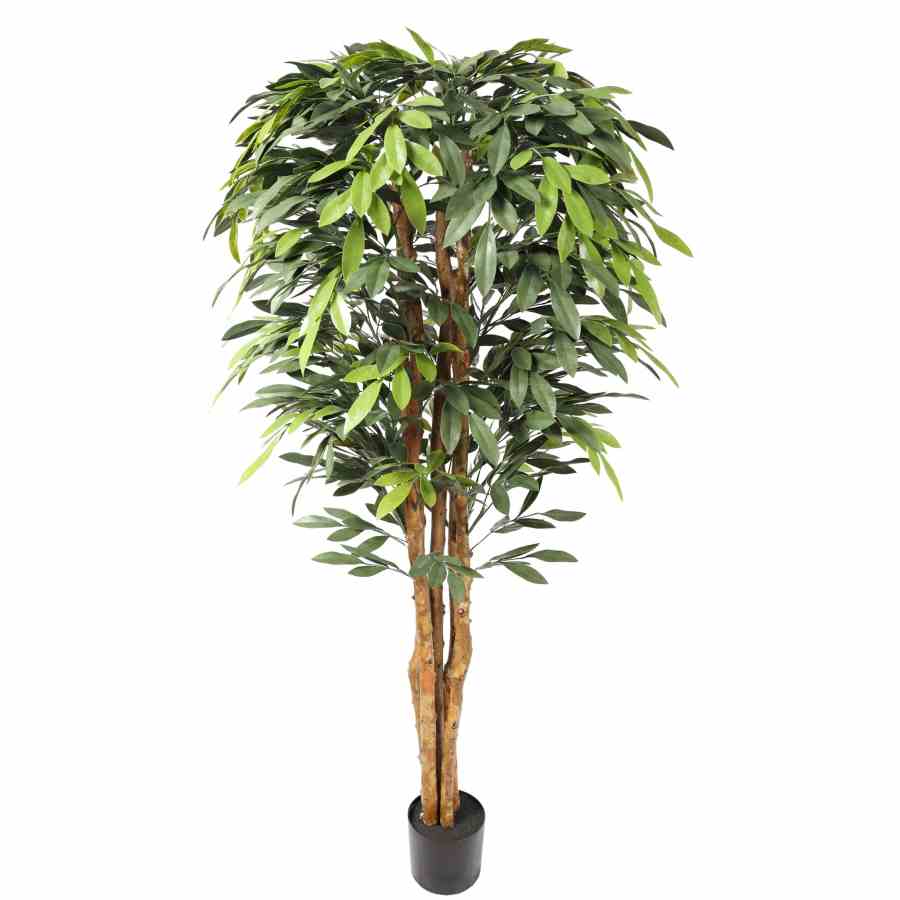Bilde av Premium Ficus Tree 180cm Indoor / Outdoor