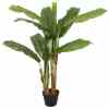 Bilde av Banana tree 120cm Indoor