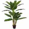 Bilde av Banana tree 150cm Indoor