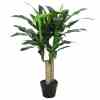 Bilde av Premium Dracaena Tree 90cm Indoor