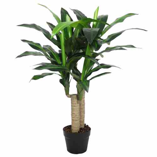Bilde av Premium Dracaena Tree 90cm Indoor