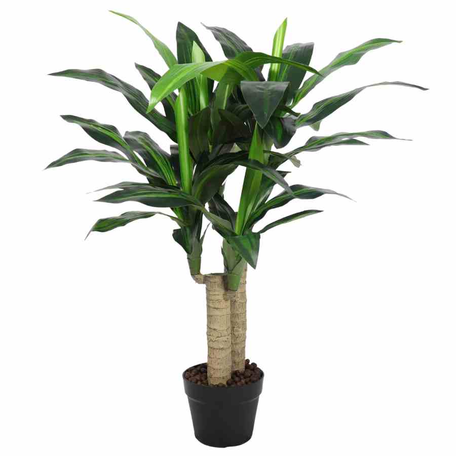 Bilde av Premium Dracaena Tree 90cm Indoor