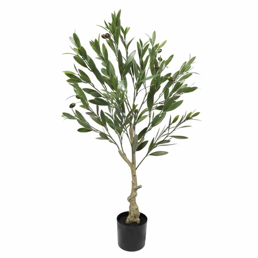 Bilde av Olive Tree with Leaves 90cm Indoor / Outdoor