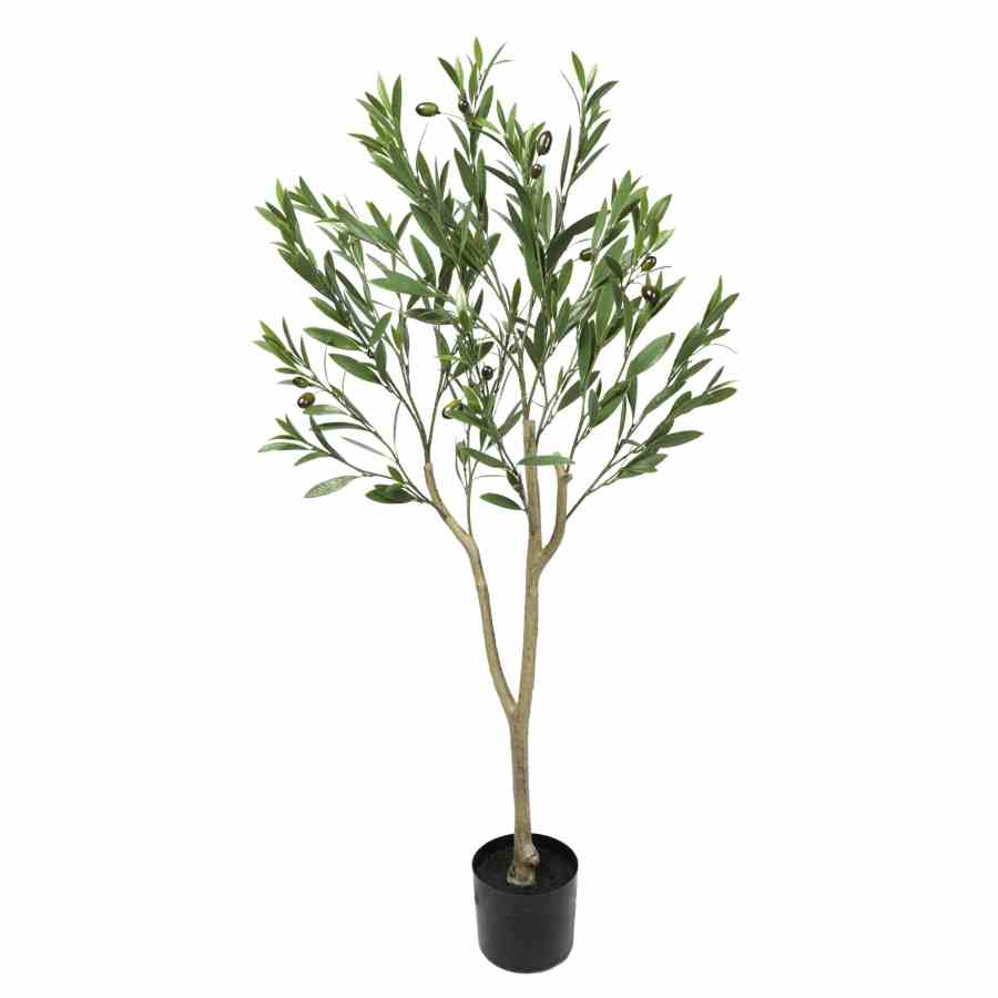 Bilde av Olive Tree with Leaves 120cm Indoor / Outdoor