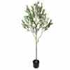 Bilde av Olive Tree with Leaves 150cm Indoor / Outdoor