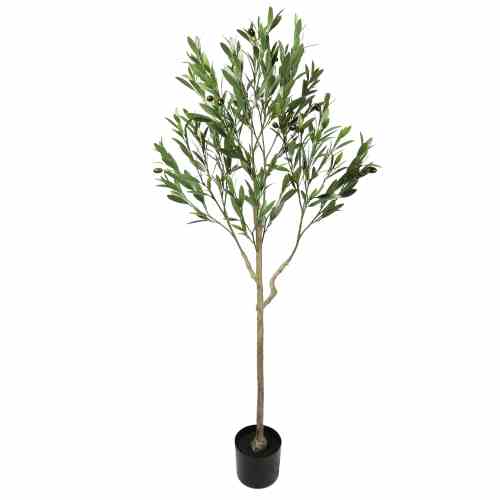 Bilde av Olive Tree with Leaves 150cm Indoor / Outdoor