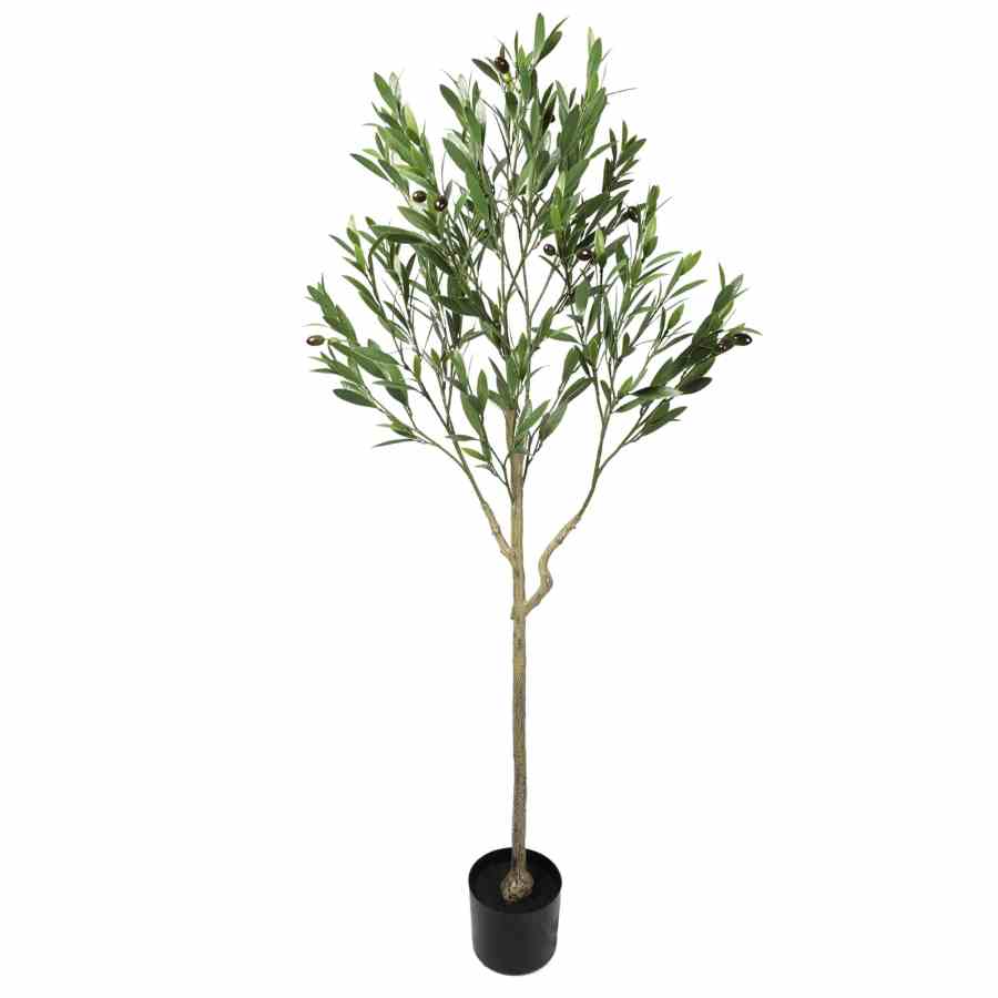 Bilde av Olive Tree with Leaves 150cm Indoor / Outdoor