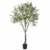 Bilde av Olive Tree 200cm Indoor